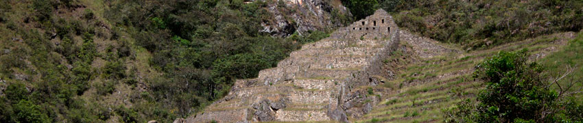 Camino Inca Huayllabamba Machu Picchu