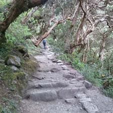 Cammino Inca Machu Picchu Corto