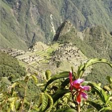Cammino Inca, turismo e conservazione